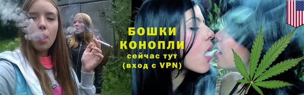 ПСИЛОЦИБИНОВЫЕ ГРИБЫ Краснотурьинск