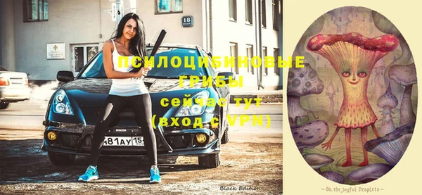 ПСИЛОЦИБИНОВЫЕ ГРИБЫ Краснотурьинск