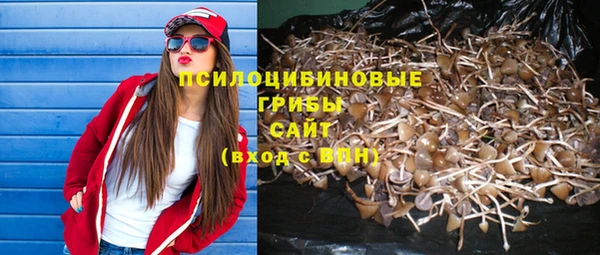 mdma Краснослободск