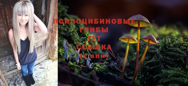 гидропоника Красноперекопск