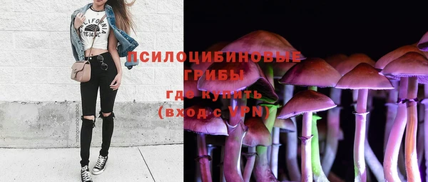mdma Краснослободск